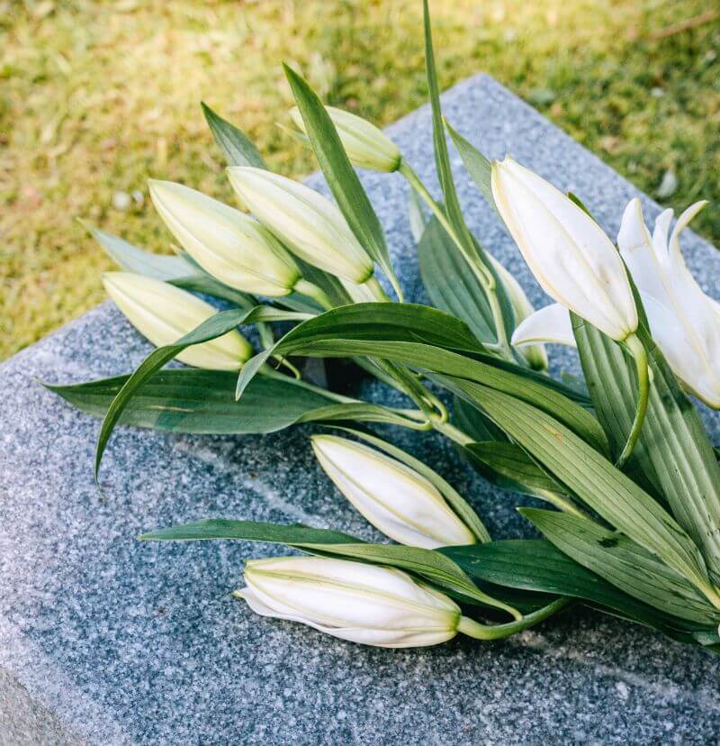 opieka nad grobami Wrocław