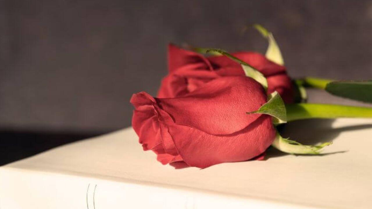 styx.pl - Całodobowy zakład pogrzebowy Wrocław