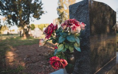 Jakie kwiaty na cmentarz? Najlepsze rośliny na grób