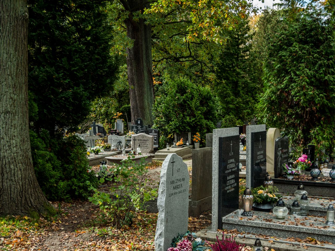 termin pogrzebu na Cmentarzu Osobowickim